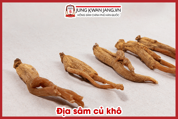 Cách nhận biết Thiên Sâm – Địa Sâm – Lương Sâm trong Hồng Sâm củ khô 2025