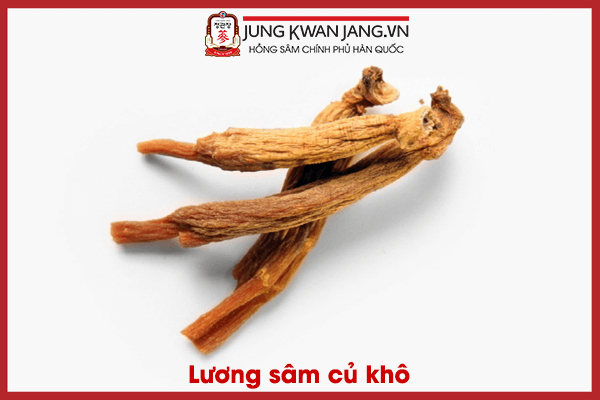 So sánh Thiên Sâm, Địa Sâm và Lương Sâm chuẩn nhất dành cho người dùng 2025