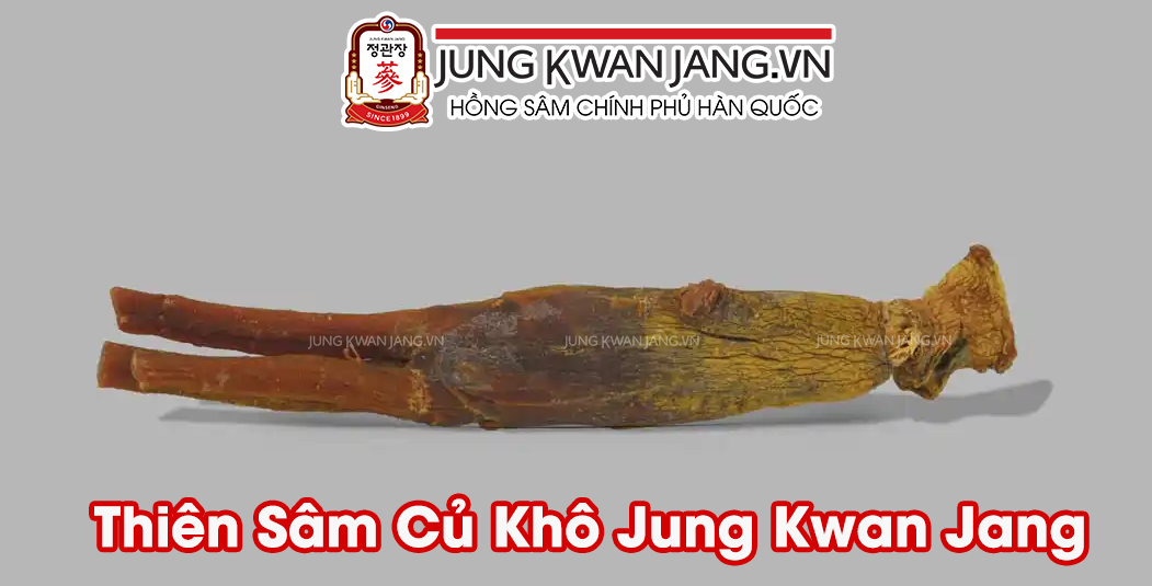 Thiên Sâm Hàn Quốc 6 năm tuổi – nguồn gốc và giá trị dinh dưỡng nổi bật