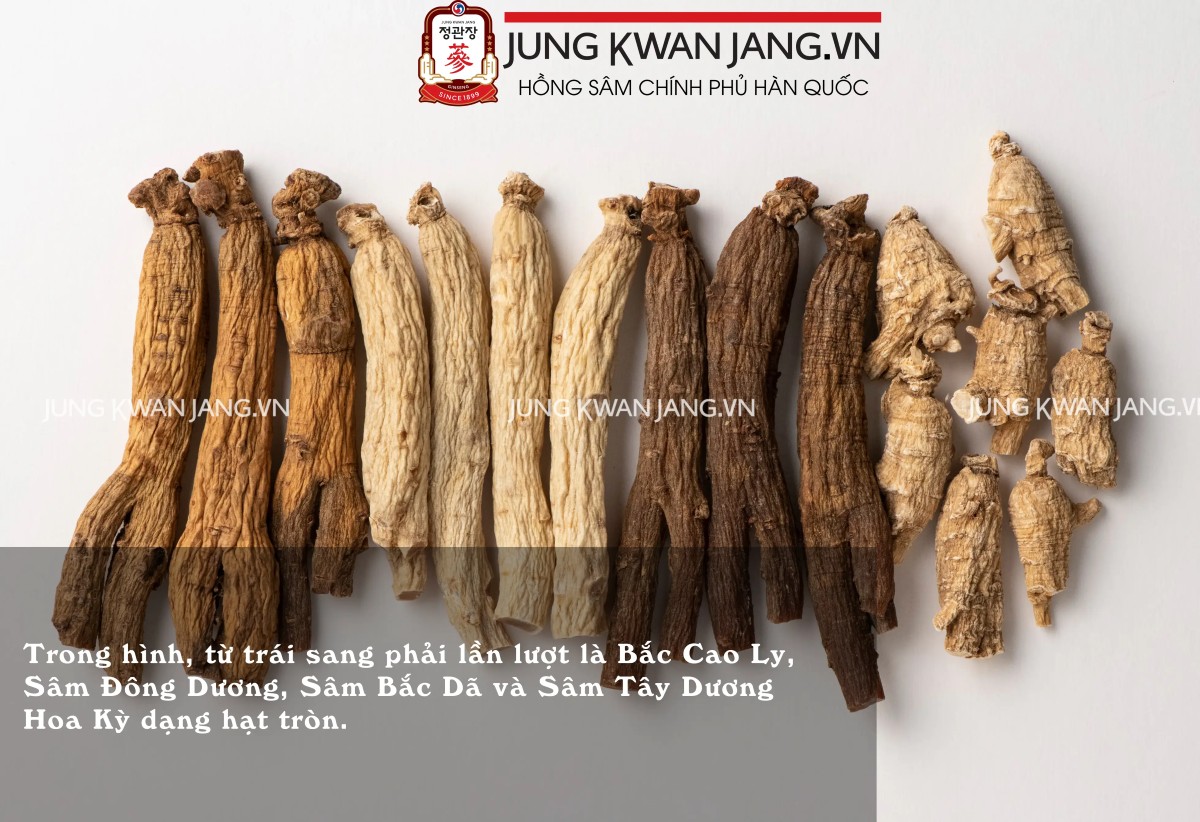 Hình ảnh minh họa cách phân biệt các loại nhân sâm Hàn Quốc trước khi mua.