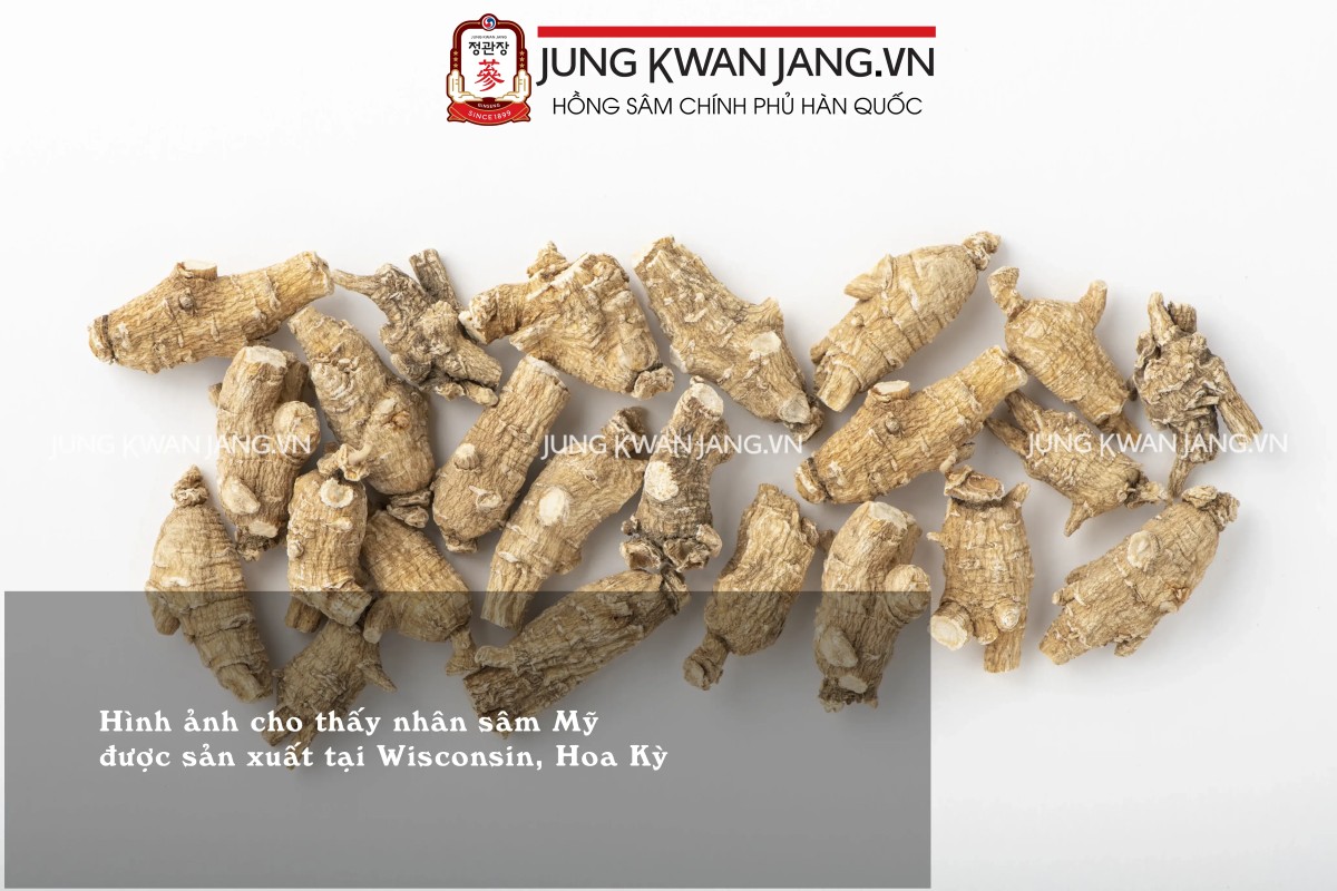 So sánh các loại nhân sâm: Đông Dương Sâm, Tây Dương Sâm và Hàn Quốc Sâm