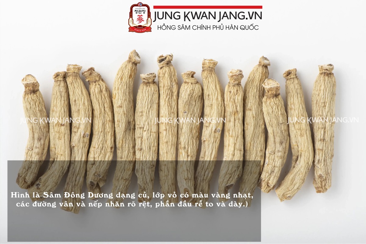 Cách chọn nhân sâm chất lượng dựa trên hình dáng, màu sắc và vân củ.