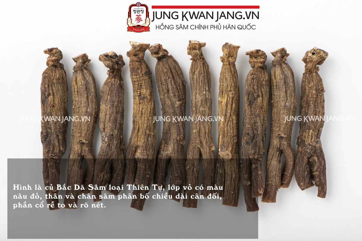 Mẹo phân biệt nhân sâm thật – hướng dẫn quan trọng cho người mua sâm lần đầu