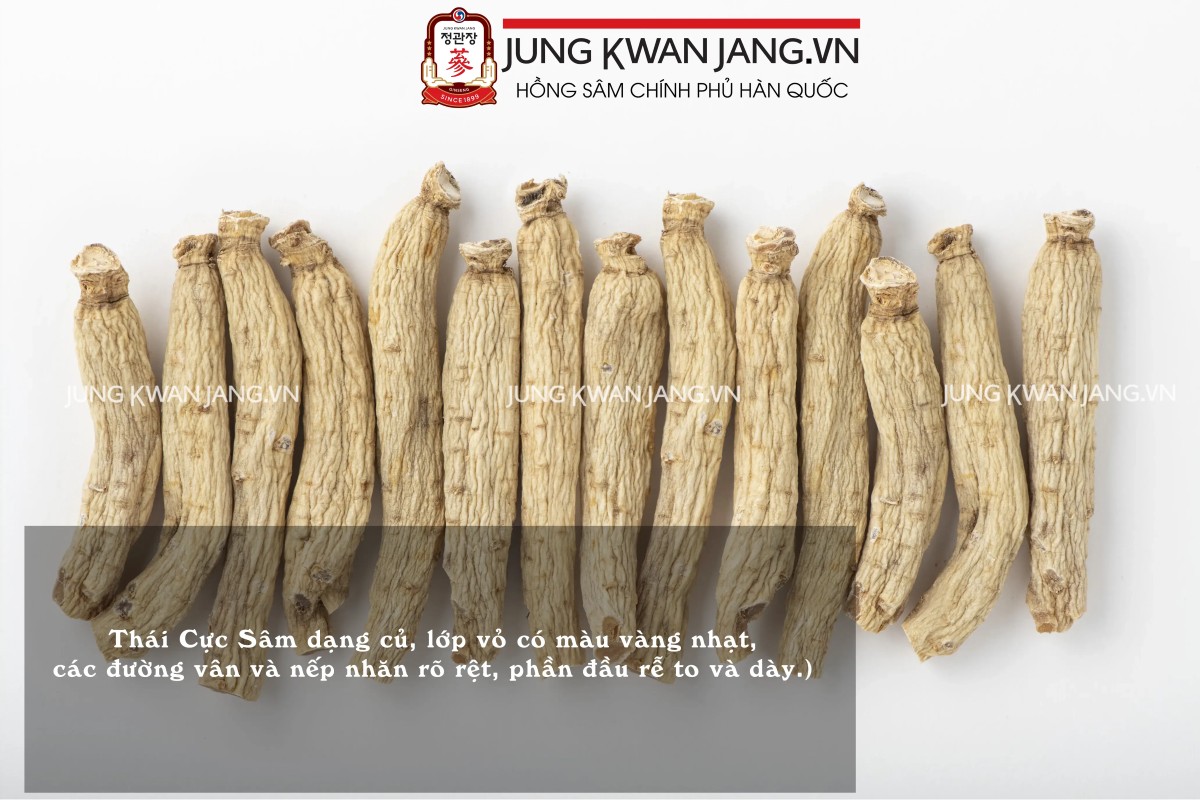 hính ảnh chi tiết thái cực sâm