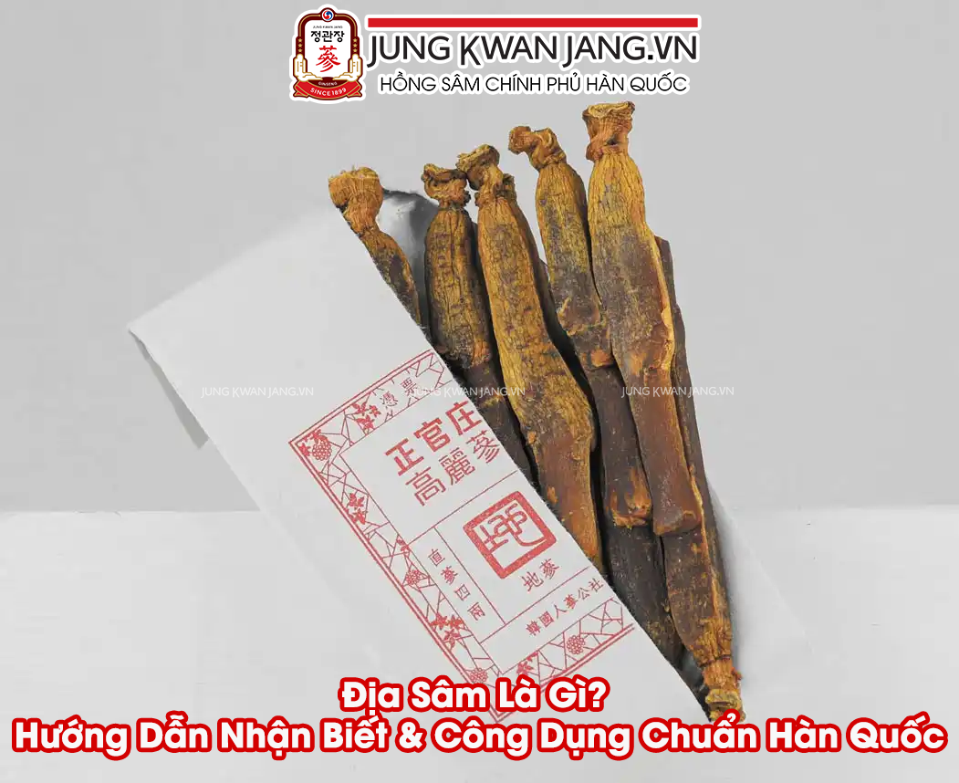Địa Sâm Là Gì? Hướng Dẫn Nhận Biết & Công Dụng Chuẩn Hàn Quốc