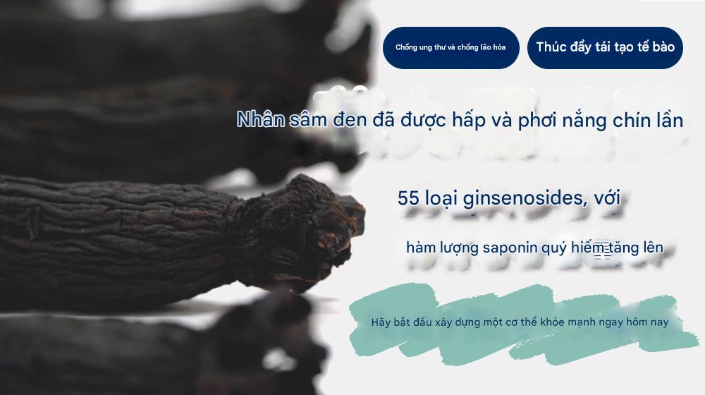 Hắc Sâm 9 Lần Hấp 9 Lần Phơi – Bí Quyết Chống Ung Thư, Chống Lão Hóa và Tăng Cường Miễn Dịch