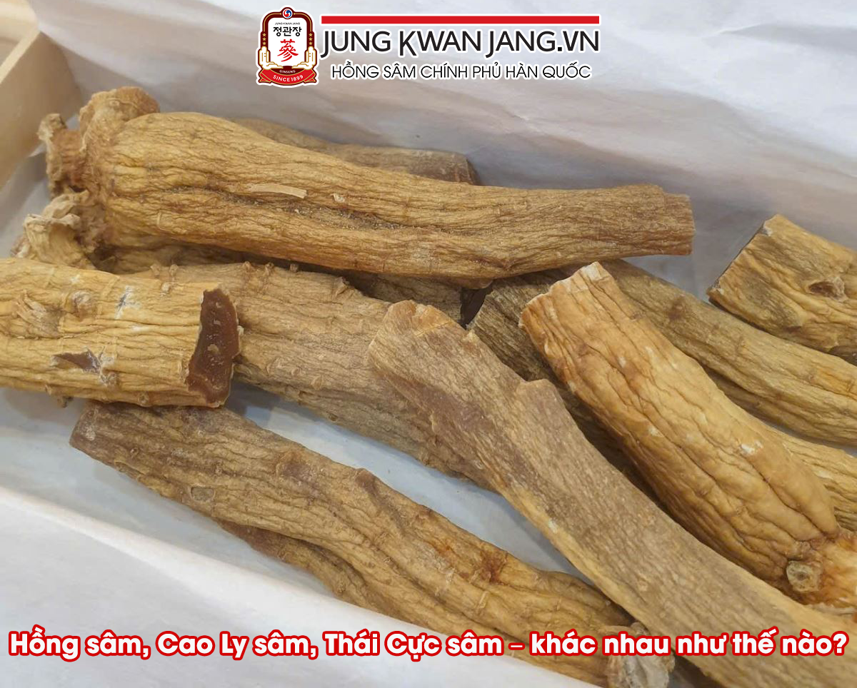 Hồng sâm, Cao Ly sâm, Thái Cực sâm – khác nhau như thế nào?
