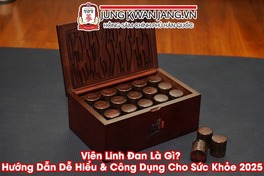 Viên Linh Đan Là Gì? Hướng Dẫn Dễ Hiểu & Công Dụng Cho Sức Khỏe 2025