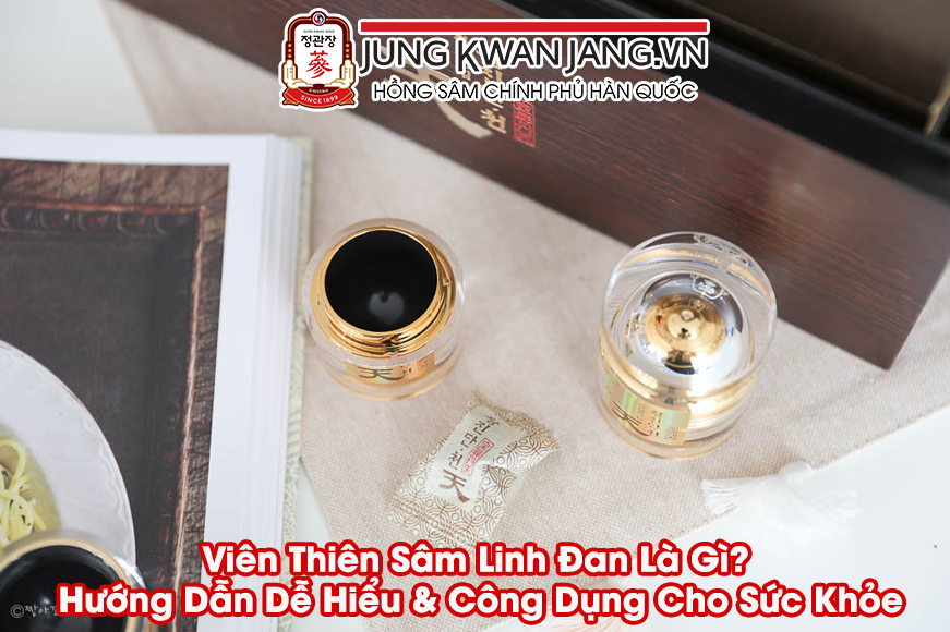 Viên Thiên Sâm Linh Đan Là Gì? Hướng Dẫn Dễ Hiểu & Công Dụng Cho Sức Khỏe
